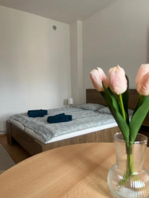 Apartman VAJB, Jicin